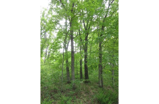 LOT 1 Fish Court, Oxford, WI 53952