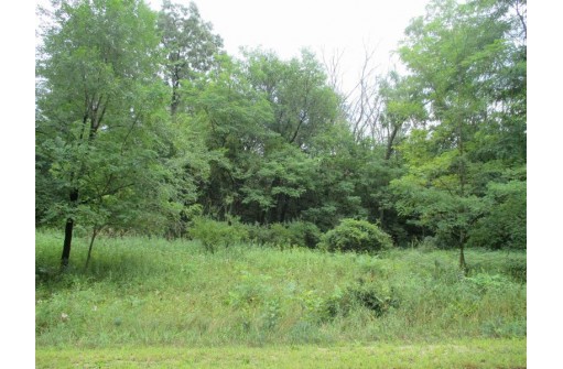 LOT 5 Brooke Circle, Montello, WI 53949