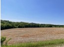 PARCEL #3 19.13 Acres Brockman Road, Elroy, WI 53929