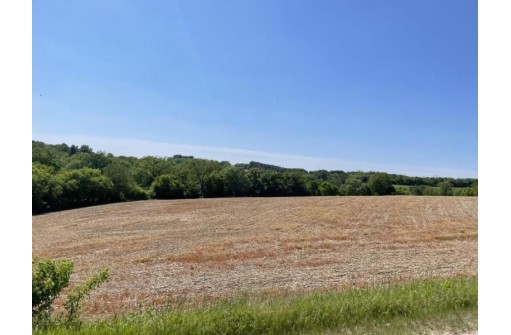 PARCEL #3 19.13 Acres Brockman Road, Elroy, WI 53929