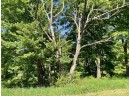 PARCEL #1 17.73 Acres Brockman Road, Elroy, WI 53929