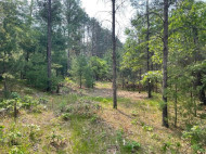 474 Duffers Trail