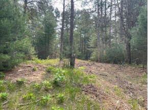 474 Duffers Trail