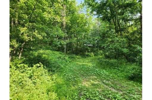 46.35 AC County Road G, Mauston, WI 53948