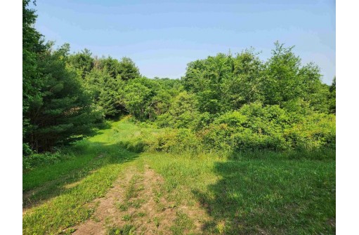 46.35 AC County Road G, Mauston, WI 53948
