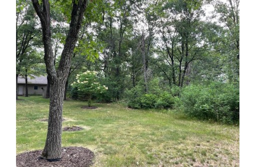 1325 Bogey Trail, Nekoosa, WI 54457