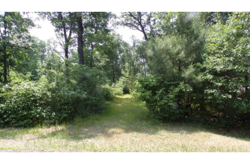 555 Feather Trail, Nekoosa, WI 54457