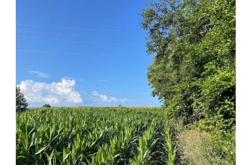 LOT 1 Towns Road, Monticello, WI 53570