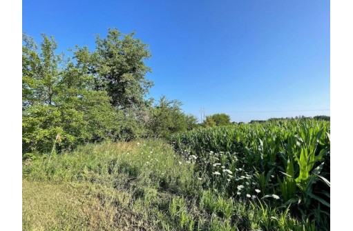 LOT 1 Towns Road, Monticello, WI 53570