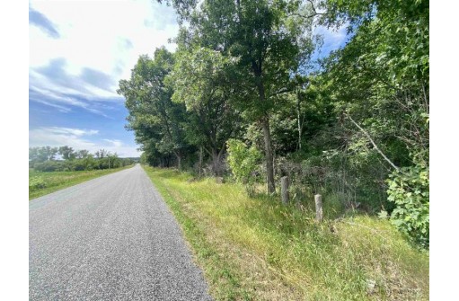 39 ACRES Ceylon Road, New Lisbon, WI 53950