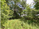 39 ACRES Ceylon Road, New Lisbon, WI 53950