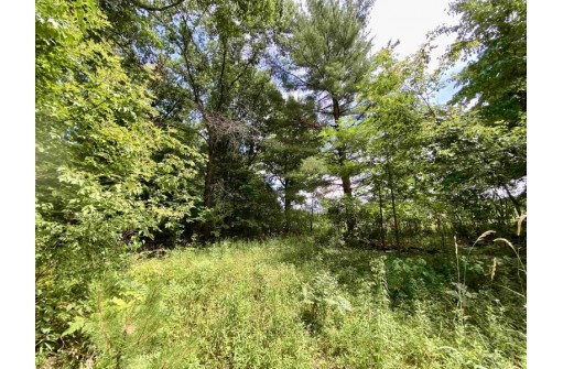 39 ACRES Ceylon Road, New Lisbon, WI 53950