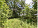 39 ACRES Ceylon Road New Lisbon, WI 53950