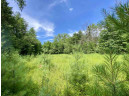 39 ACRES Ceylon Road, New Lisbon, WI 53950