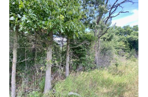 39 ACRES Ceylon Road, New Lisbon, WI 53950