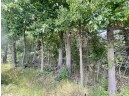 39 ACRES Ceylon Road, New Lisbon, WI 53950