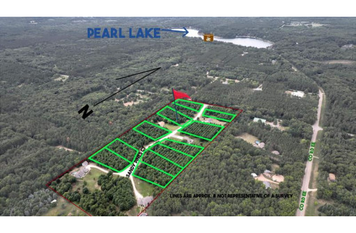 LOT 20 & 16 Sandy Pines Court, Redgranite, WI 54970