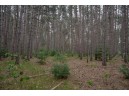 LOT 240 Raven Drive, New Lisbon, WI 53950