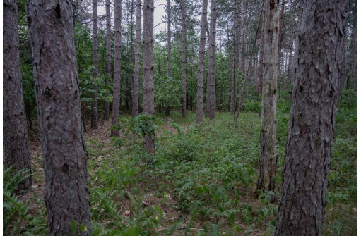 LOT 240 Raven Drive, New Lisbon, WI 53950