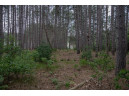 LOT 240 Raven Drive, New Lisbon, WI 53950