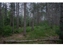 LOT 240 Raven Drive, New Lisbon, WI 53950