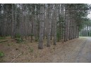 LOT 238 Raven Drive, New Lisbon, WI 53950