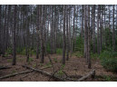 LOT 238 Raven Drive, New Lisbon, WI 53950