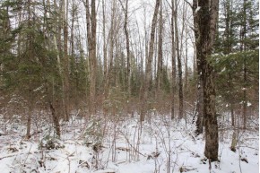 +/-2.197 ACRES County Road I