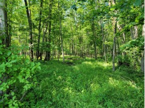 +/- 5 ACRES Hilltop Road