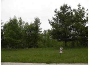 357 Drumlin Loop Ripon, WI 54971