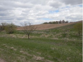 LOT 5 Spring Brook