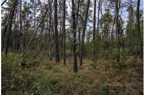 LOT 126 Beach Drive, New Lisbon, WI 53950