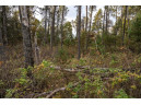 LOT 127 Beach Drive, New Lisbon, WI 53950