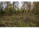 LOT 127 Beach Drive, New Lisbon, WI 53950