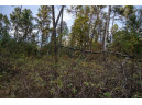 LOT 127 Beach Drive, New Lisbon, WI 53950