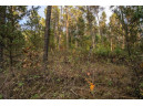 LOT 127 Beach Drive, New Lisbon, WI 53950