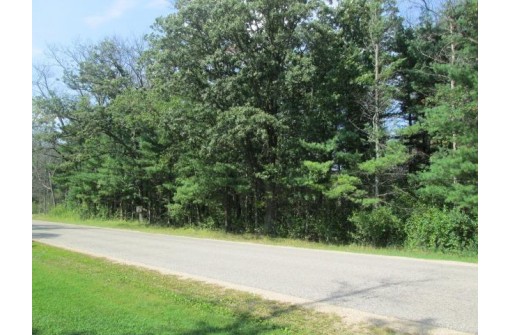 LOT 1 Deerborn Avenue, Friendship, WI 53934