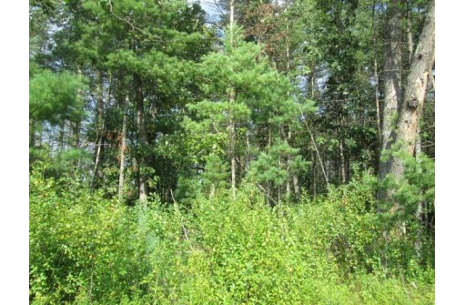 LOT 1 Deerborn Avenue, Friendship, WI 53934