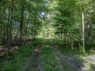 9.18 ACRES County Road A