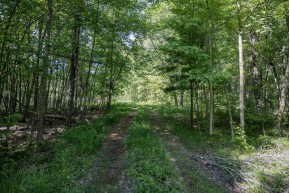 9.18 ACRES County Road A