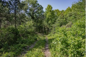9.18 ACRES County Road A