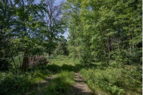 9.18 ACRES County Road A