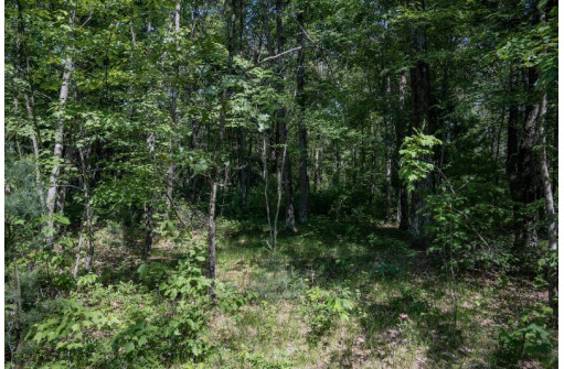 9.18 ACRES County Road A, New Lisbon, WI 53950