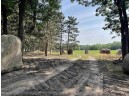 6152 Shady Drive, Plover, WI 54467