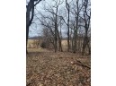 LOT 3 Tower Line Road, Marshall, WI 53559