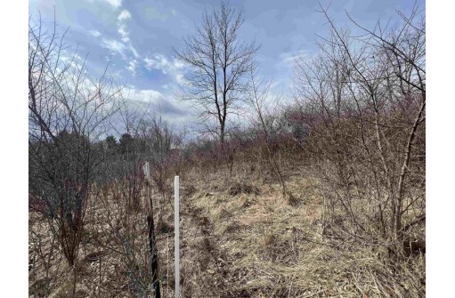 LOT 308 Matterhorn Drive, La Valle, WI 53941