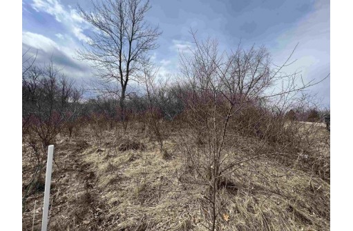 LOT 308 Matterhorn Drive, La Valle, WI 53941