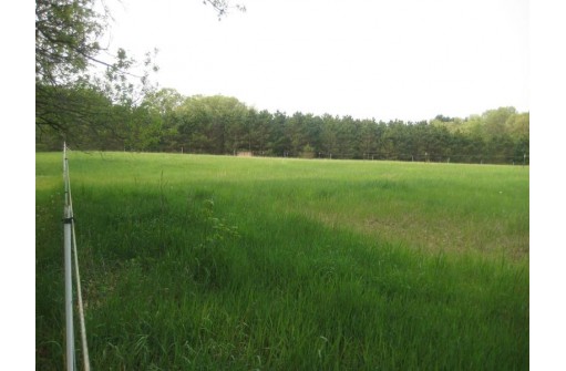 N9069 17th Lane, Neshkoro, WI 54960