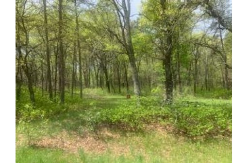 1565,1567 Olive Trail, Nekoosa, WI 54457