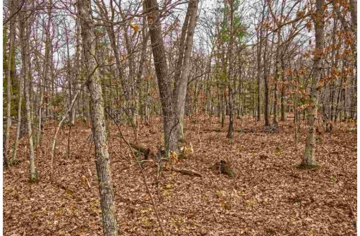 5.34 ACRES Trout Road, Wisconsin Dells, WI 53965